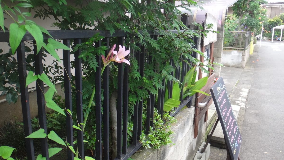 f:id:cafelegume:20190723214440j:plain