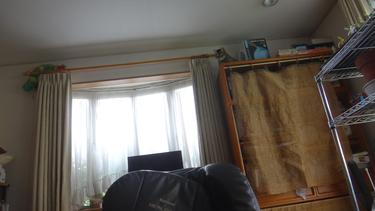 f:id:cafelegume:20190801232055j:plain