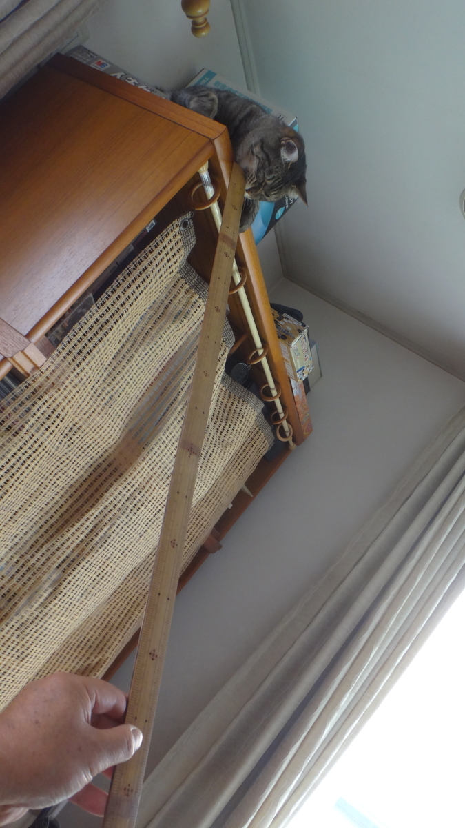 f:id:cafelegume:20190801232335j:plain