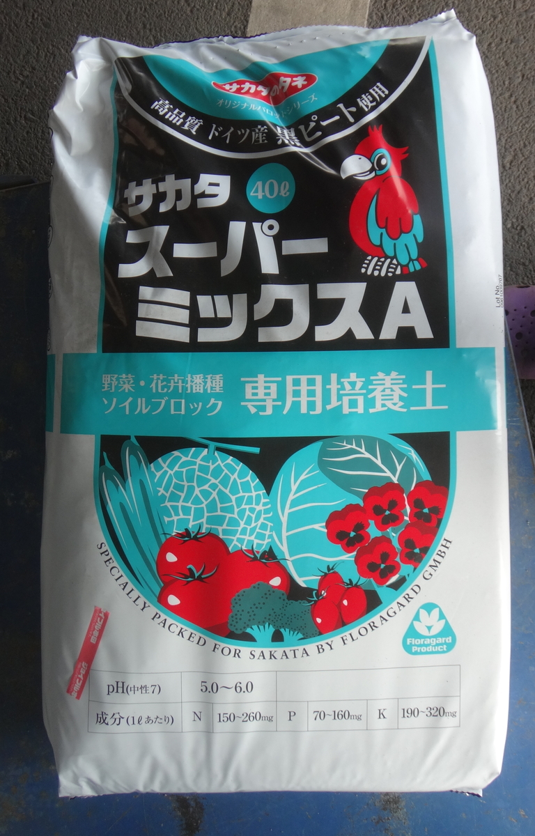 f:id:cafelegume:20190802232412j:plain f:id:cafelegume:20190802232412j:plain