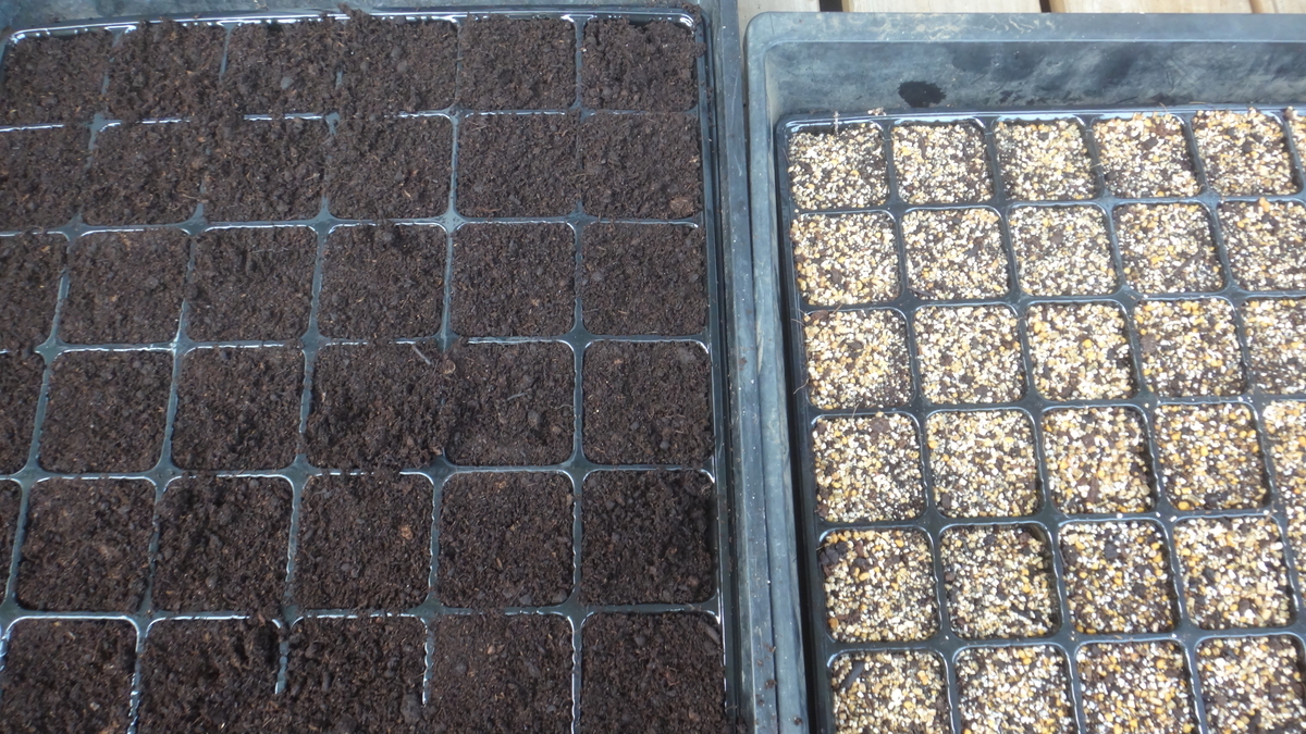 f:id:cafelegume:20190802233933j:plain f:id:cafelegume:20190802233933j:plain