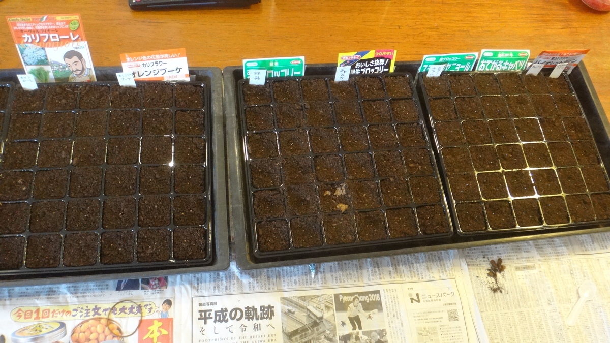 f:id:cafelegume:20190802234307j:plain f:id:cafelegume:20190802234307j:plain
