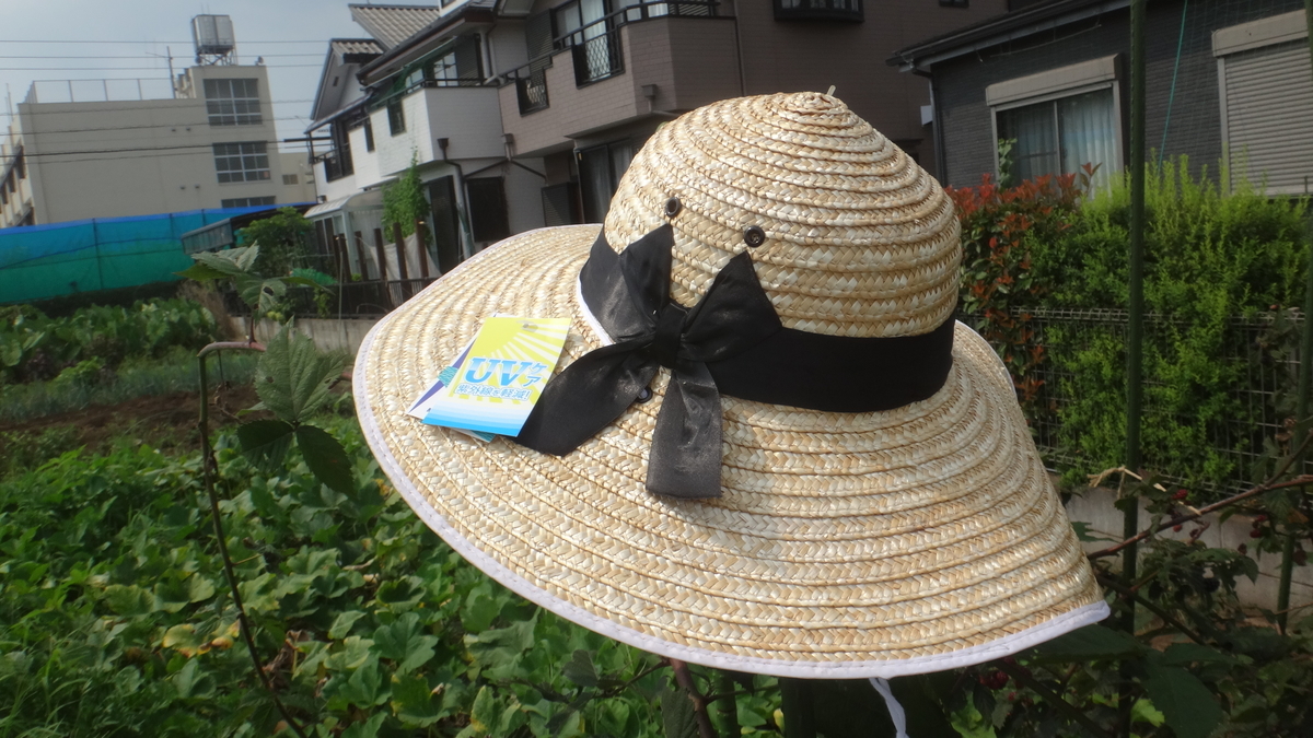 f:id:cafelegume:20190803214410j:plain