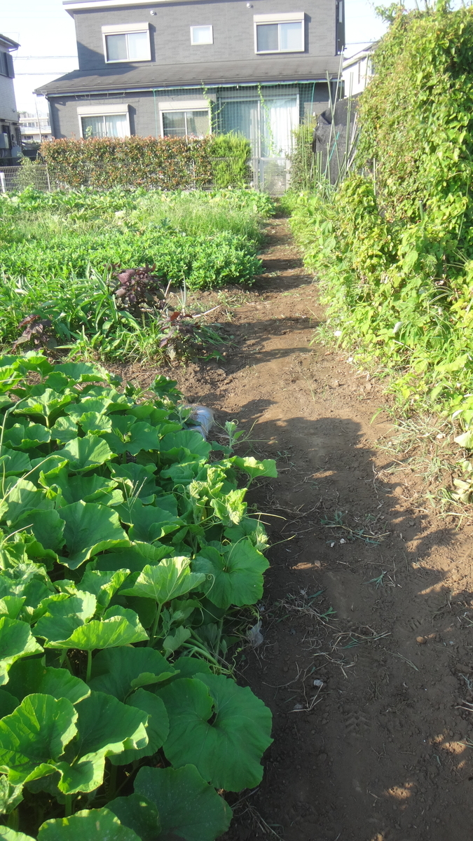 f:id:cafelegume:20190805002309j:plain