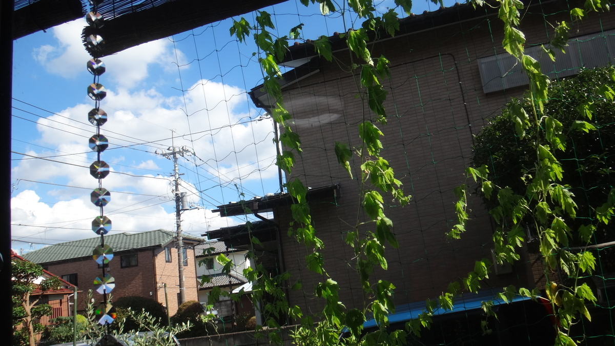 f:id:cafelegume:20190805221701j:plain