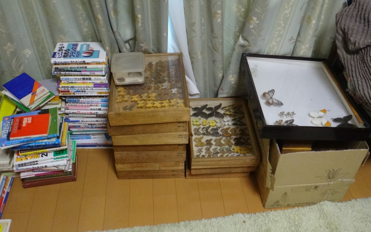 f:id:cafelegume:20190808230533j:plain