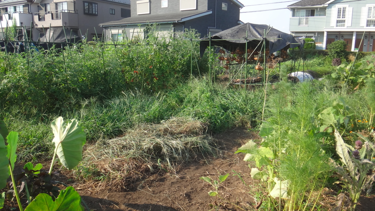 f:id:cafelegume:20190810224215j:plain