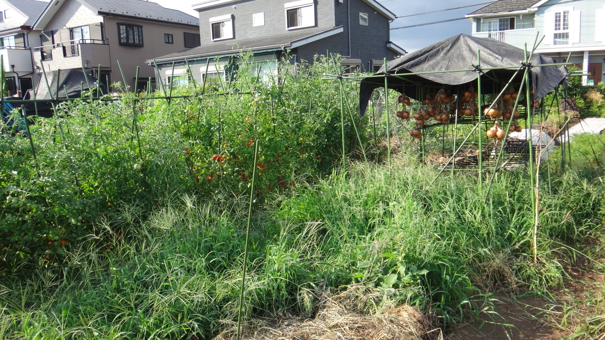 f:id:cafelegume:20190811225321j:plain f:id:cafelegume:20190811225321j:plain