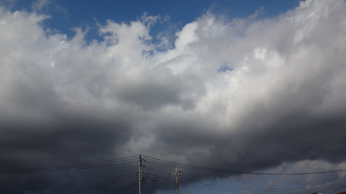 f:id:cafelegume:20190811225447j:plain f:id:cafelegume:20190811225447j:plain
