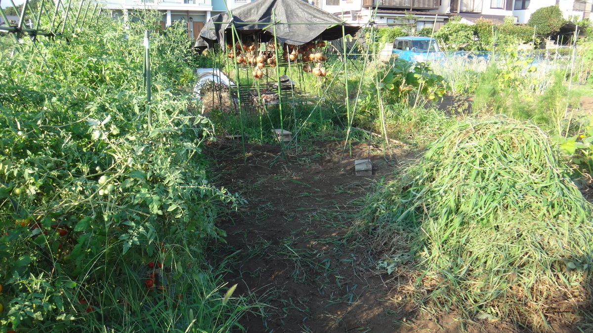 f:id:cafelegume:20190811225852j:plain f:id:cafelegume:20190811225852j:plain