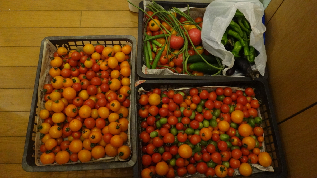f:id:cafelegume:20190811230620j:plain f:id:cafelegume:20190811230620j:plain