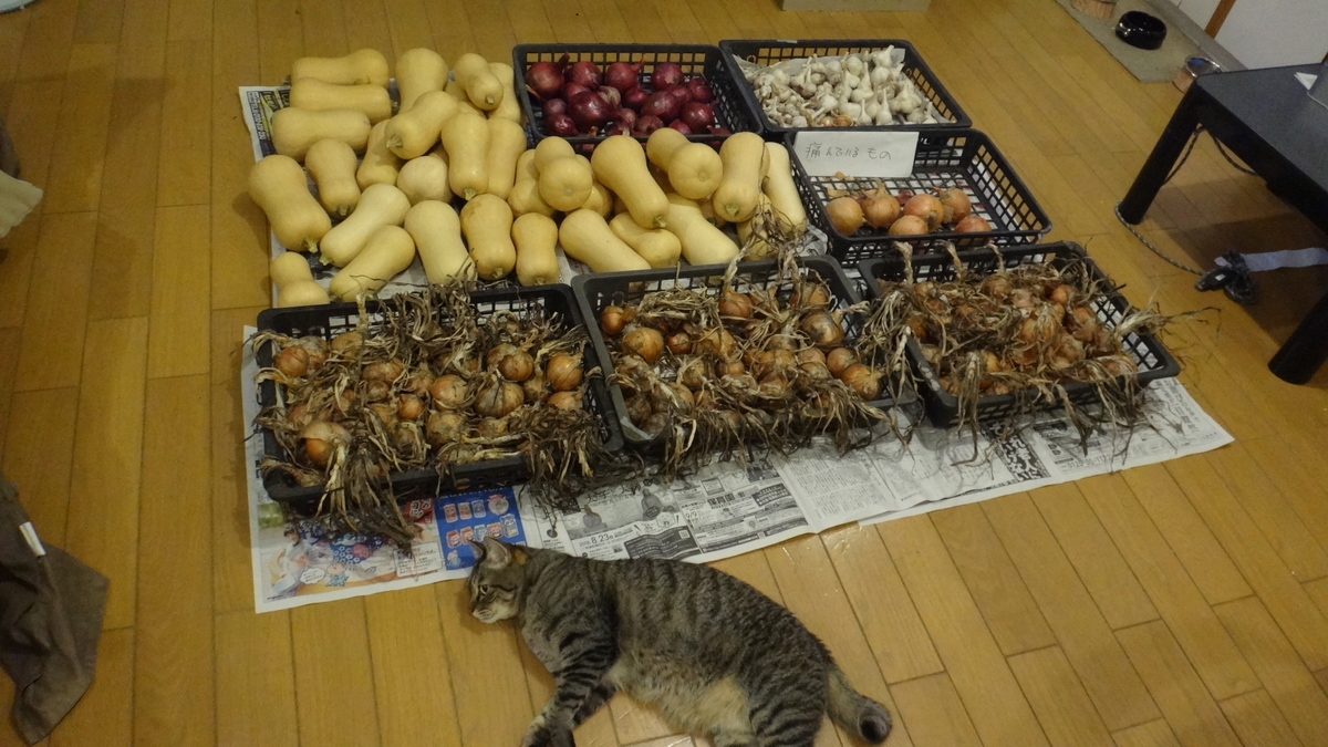 f:id:cafelegume:20190811230943j:plain f:id:cafelegume:20190811230943j:plain
