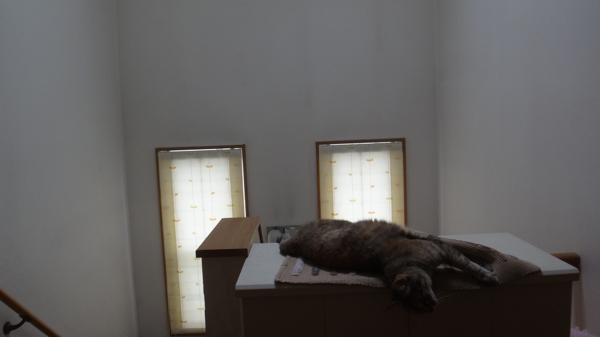 f:id:cafelegume:20190812232150j:plain