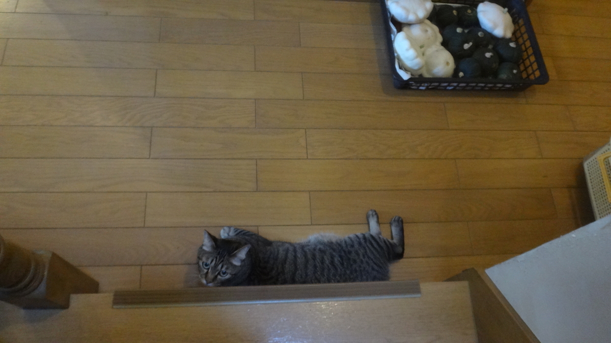 f:id:cafelegume:20190812233200j:plain