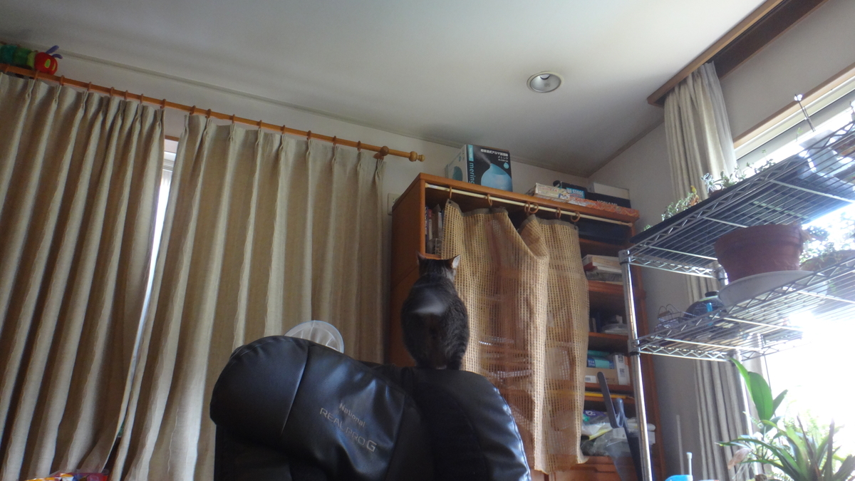 f:id:cafelegume:20190813000436j:plain