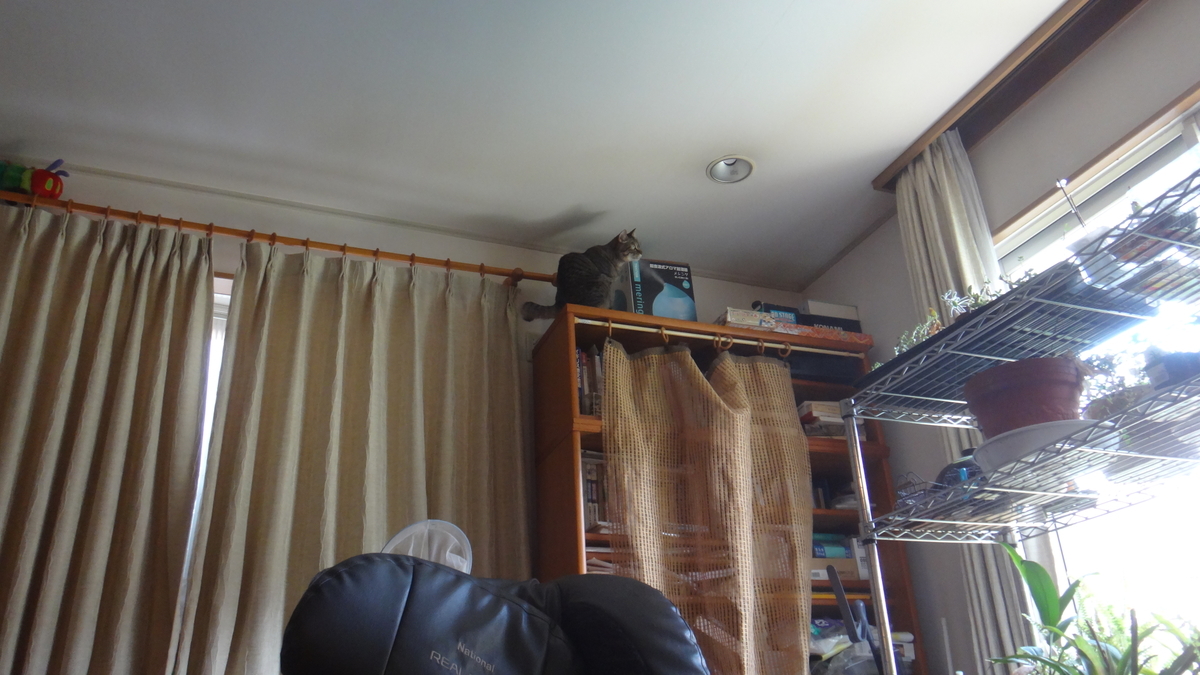 f:id:cafelegume:20190813000733j:plain