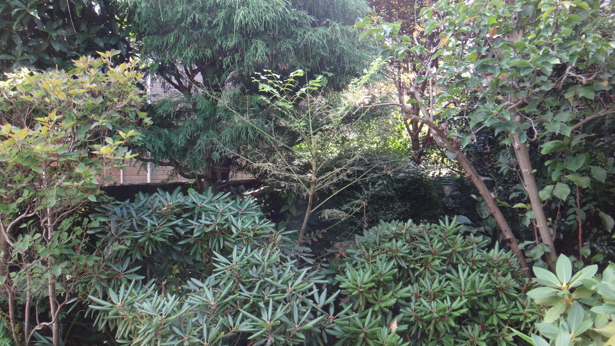 f:id:cafelegume:20190813230650j:plain f:id:cafelegume:20190813230650j:plain