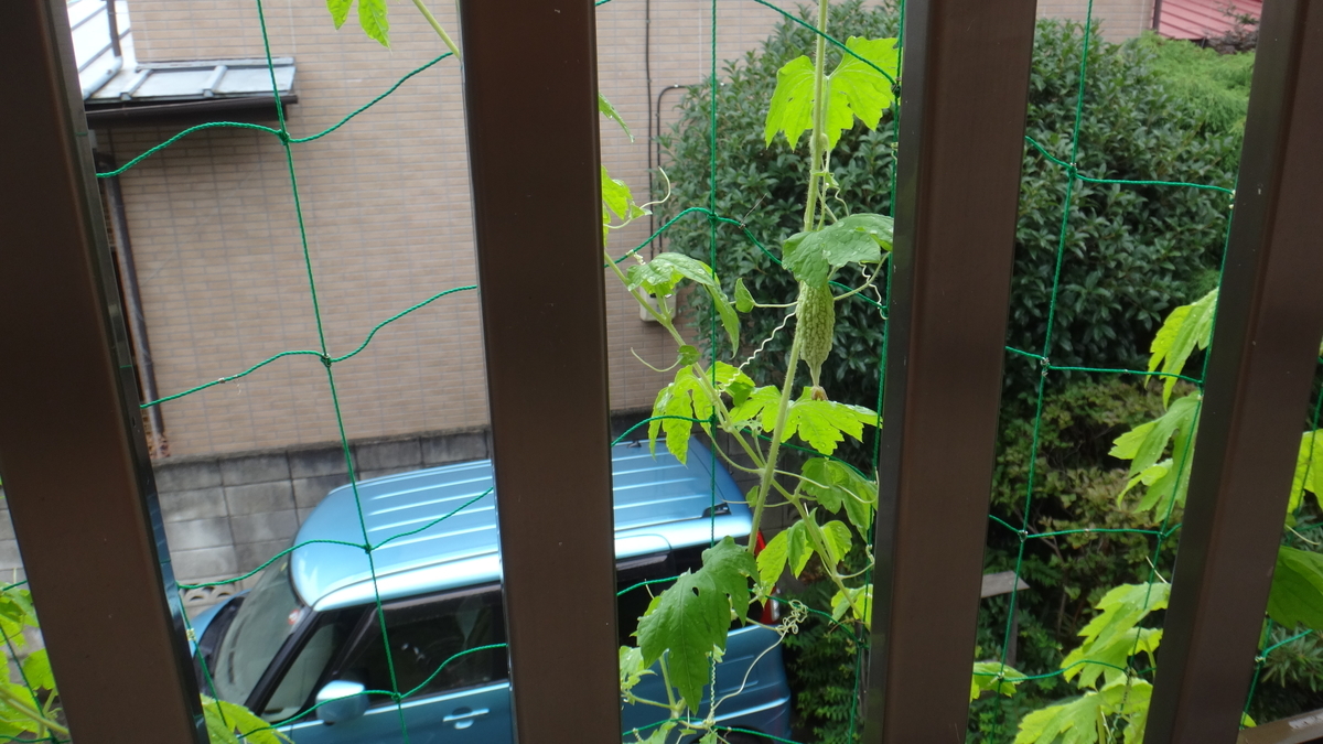 f:id:cafelegume:20190815223350j:plain