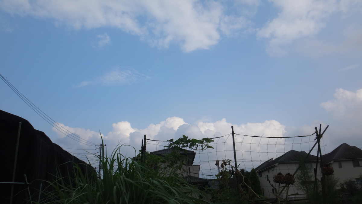 f:id:cafelegume:20190819224734j:plain