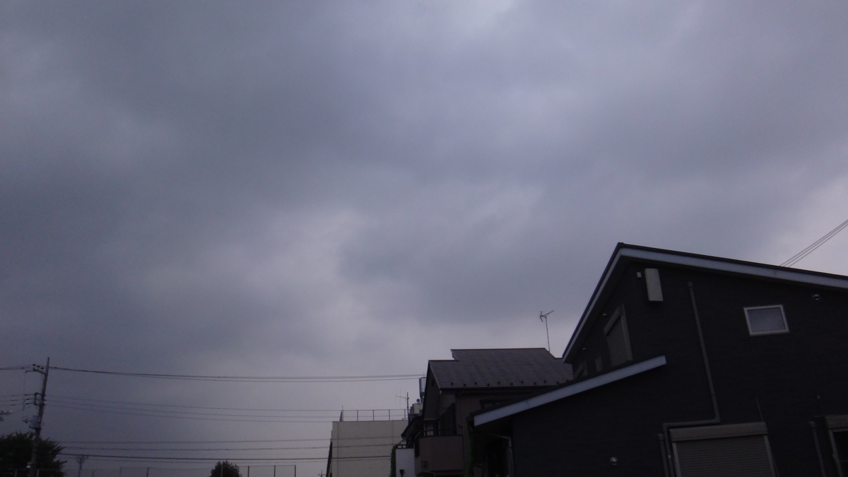 f:id:cafelegume:20190819224908j:plain