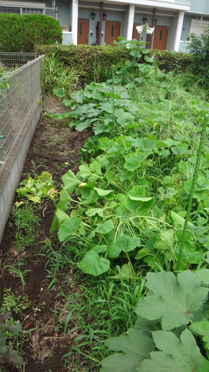 f:id:cafelegume:20190822225417j:plain
