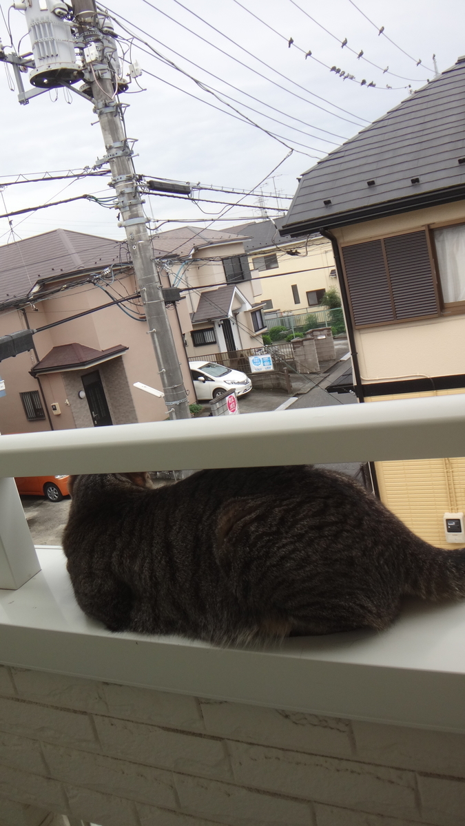 f:id:cafelegume:20190823205556j:plain