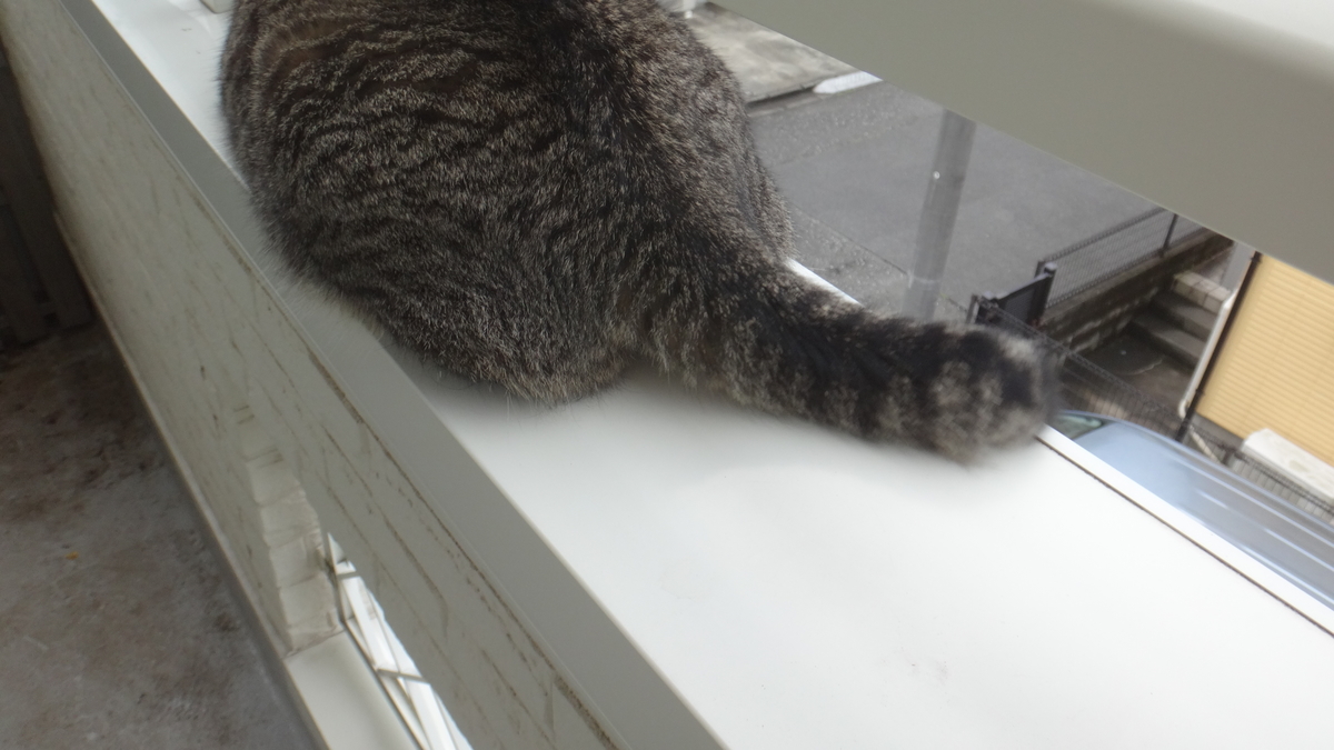 f:id:cafelegume:20190823223132j:plain