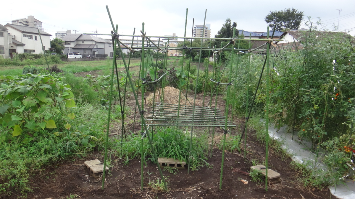 f:id:cafelegume:20190824222725j:plain f:id:cafelegume:20190824222725j:plain