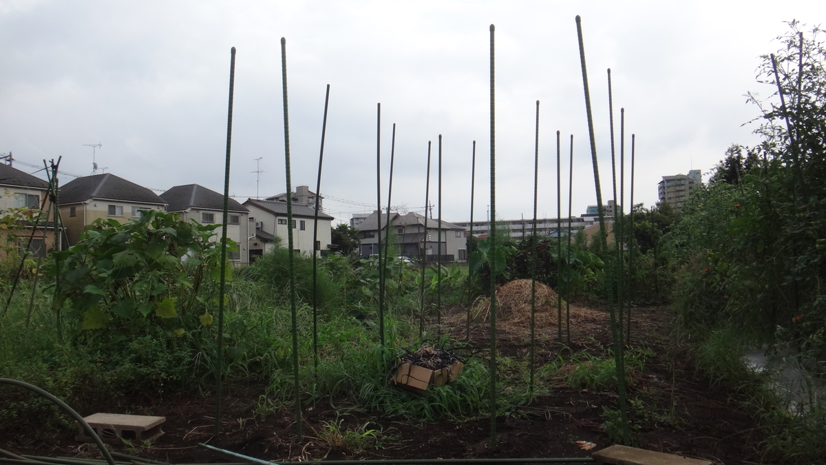 f:id:cafelegume:20190824222949j:plain f:id:cafelegume:20190824222949j:plain
