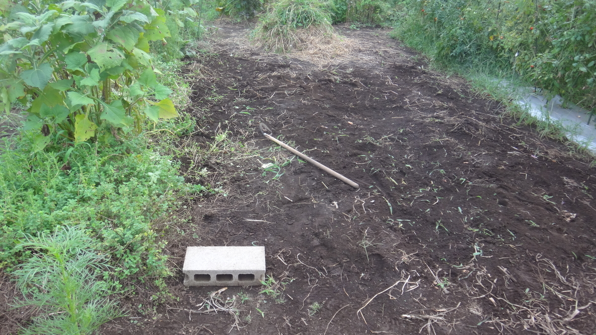 f:id:cafelegume:20190824223307j:plain f:id:cafelegume:20190824223307j:plain