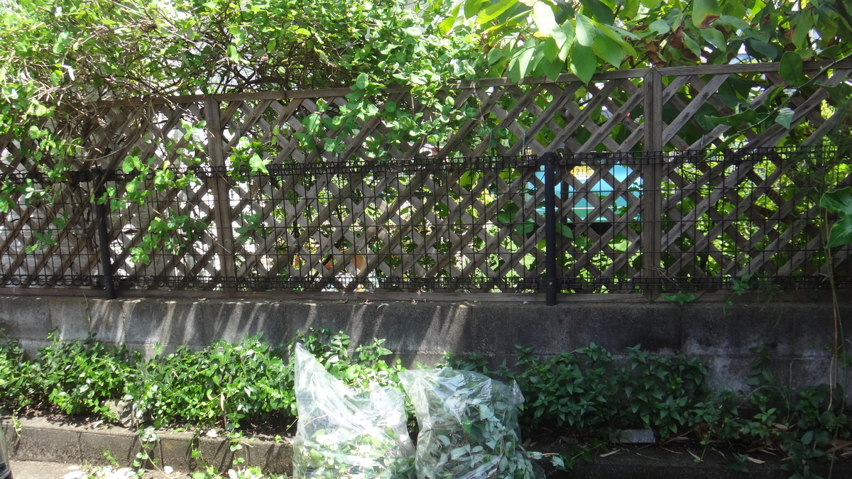 f:id:cafelegume:20190825232256j:plain f:id:cafelegume:20190825232256j:plain