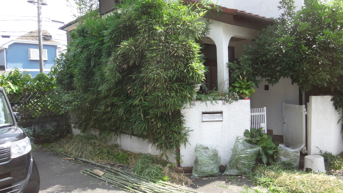 f:id:cafelegume:20190825232747j:plain f:id:cafelegume:20190825232747j:plain