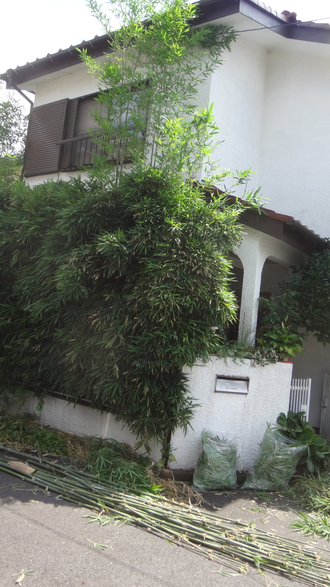f:id:cafelegume:20190825232941j:plain f:id:cafelegume:20190825232941j:plain