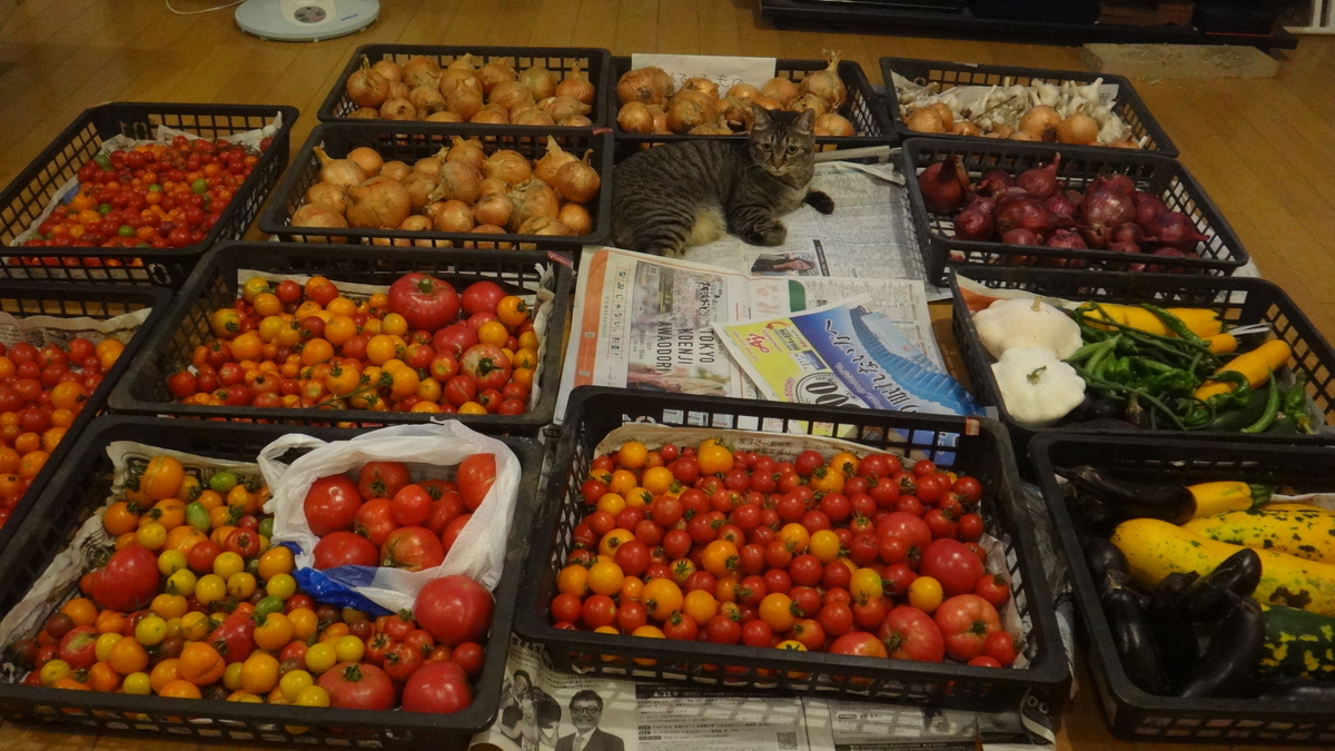 f:id:cafelegume:20190826225742j:plain