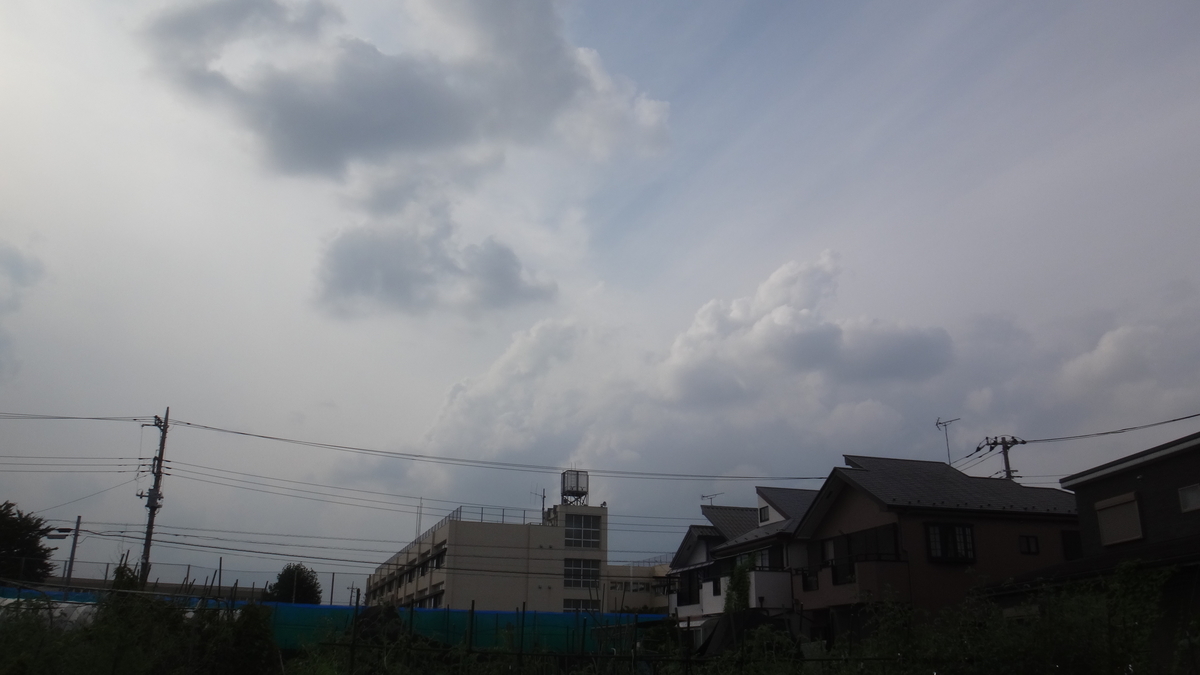 f:id:cafelegume:20190827214454j:plain