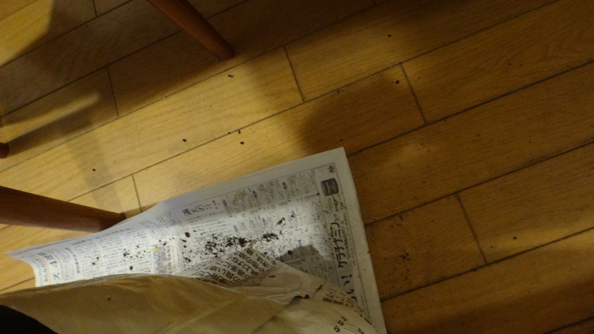 f:id:cafelegume:20190828214325j:plain