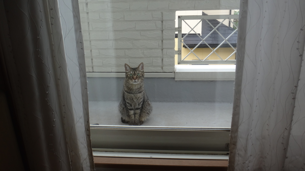 f:id:cafelegume:20190828214507j:plain