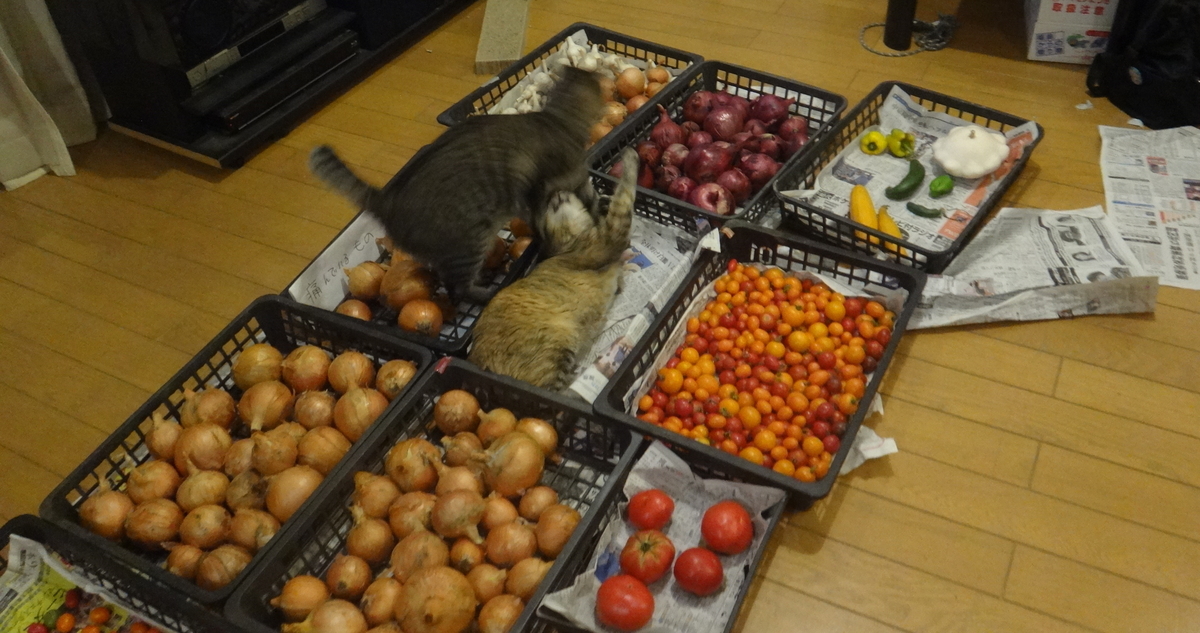 f:id:cafelegume:20190901224443j:plain