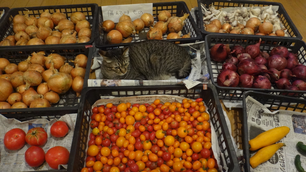 f:id:cafelegume:20190901224636j:plain