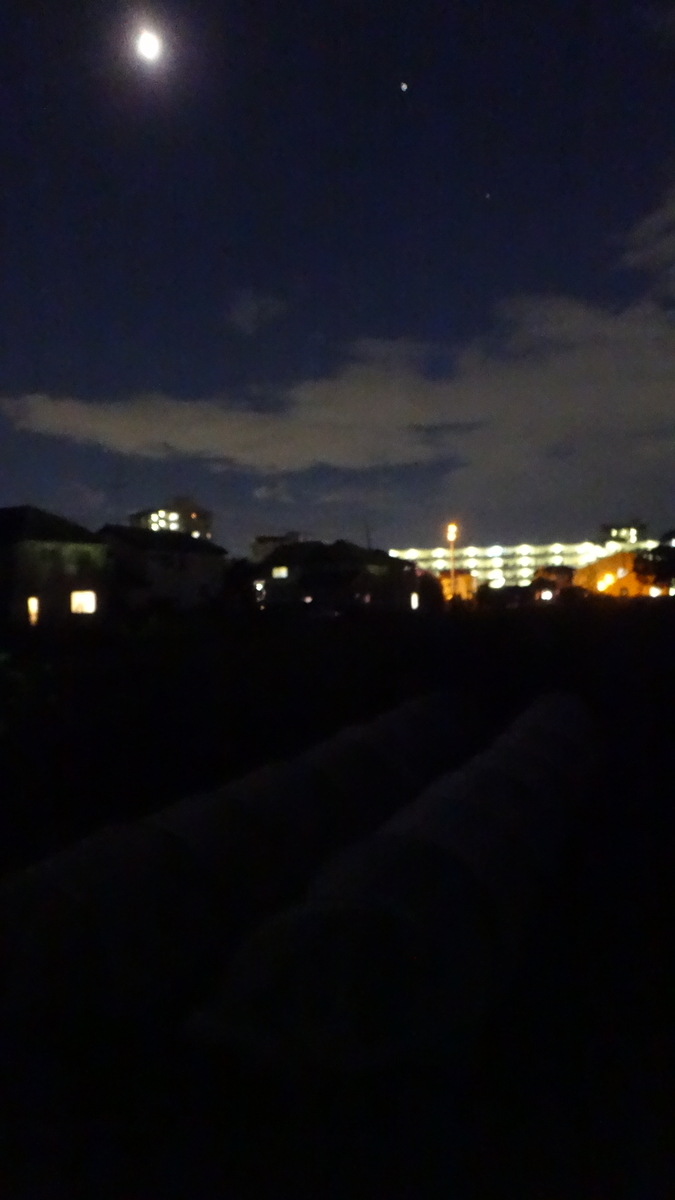f:id:cafelegume:20190907221128j:plain