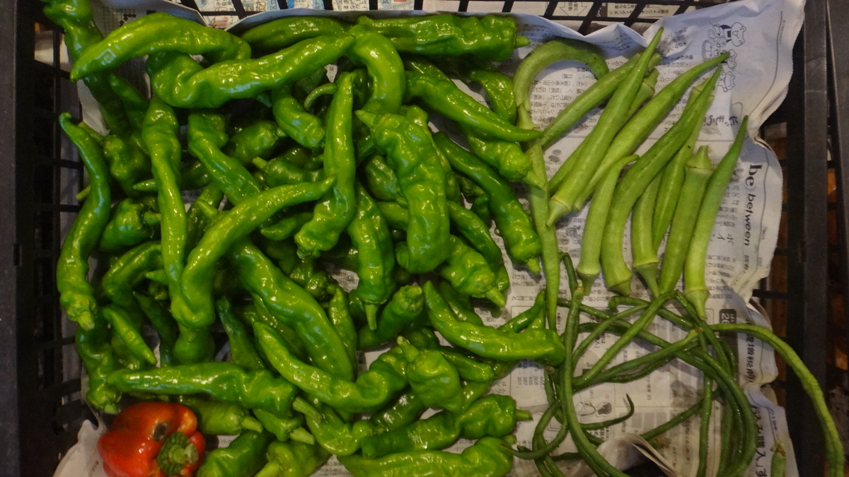 f:id:cafelegume:20190908233323j:plain f:id:cafelegume:20190908233323j:plain