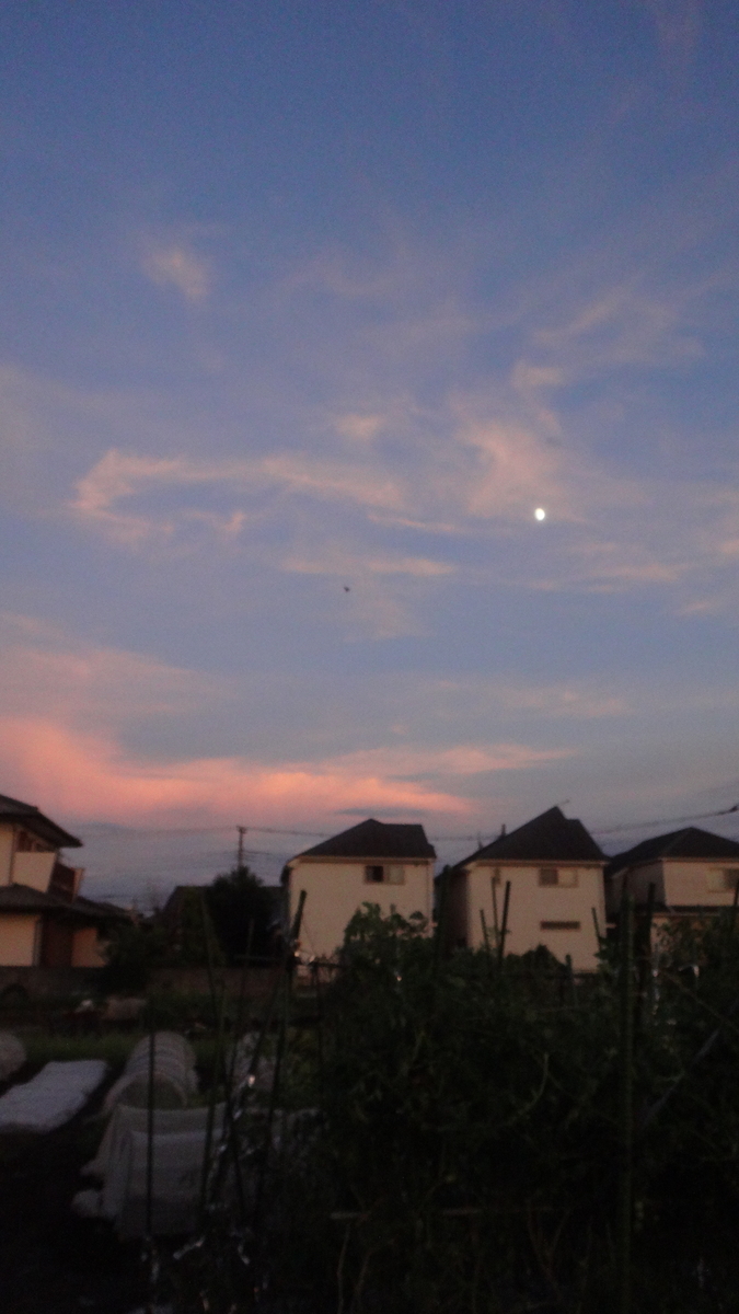 f:id:cafelegume:20190909223513j:plain