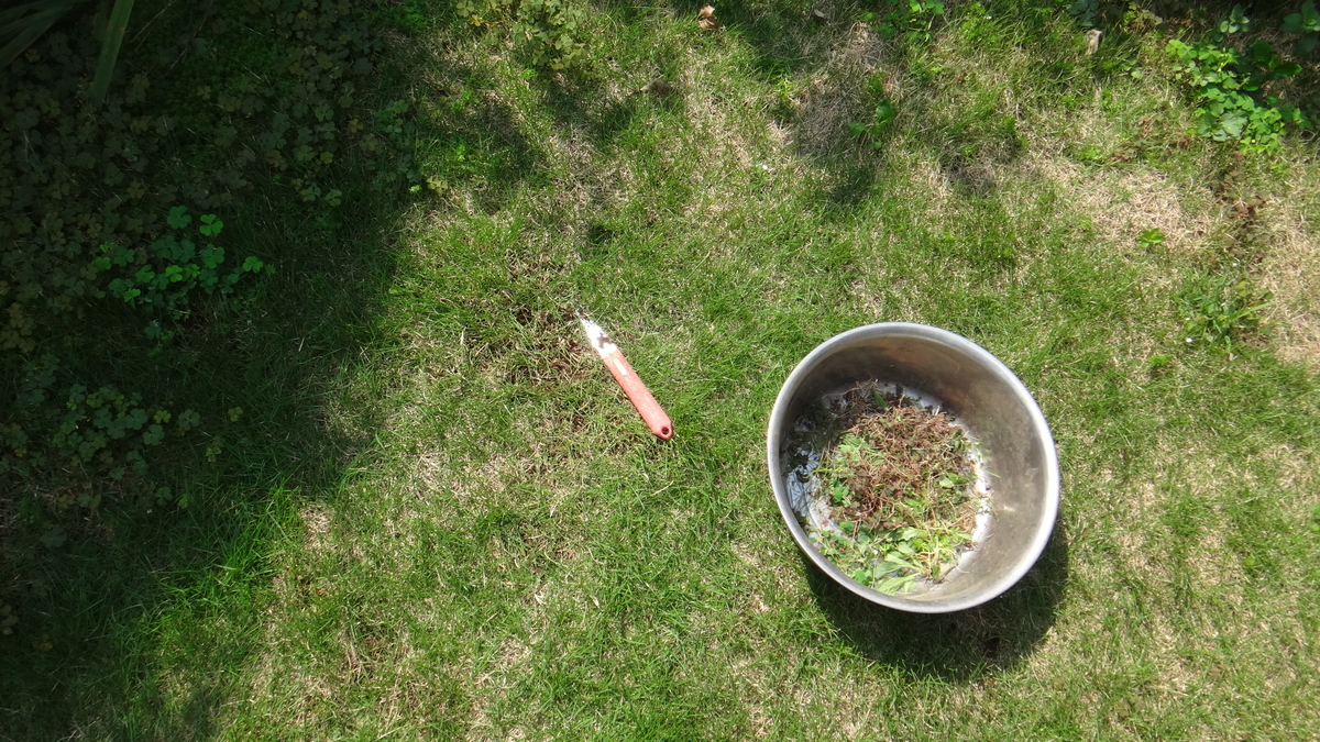 f:id:cafelegume:20190911223635j:plain