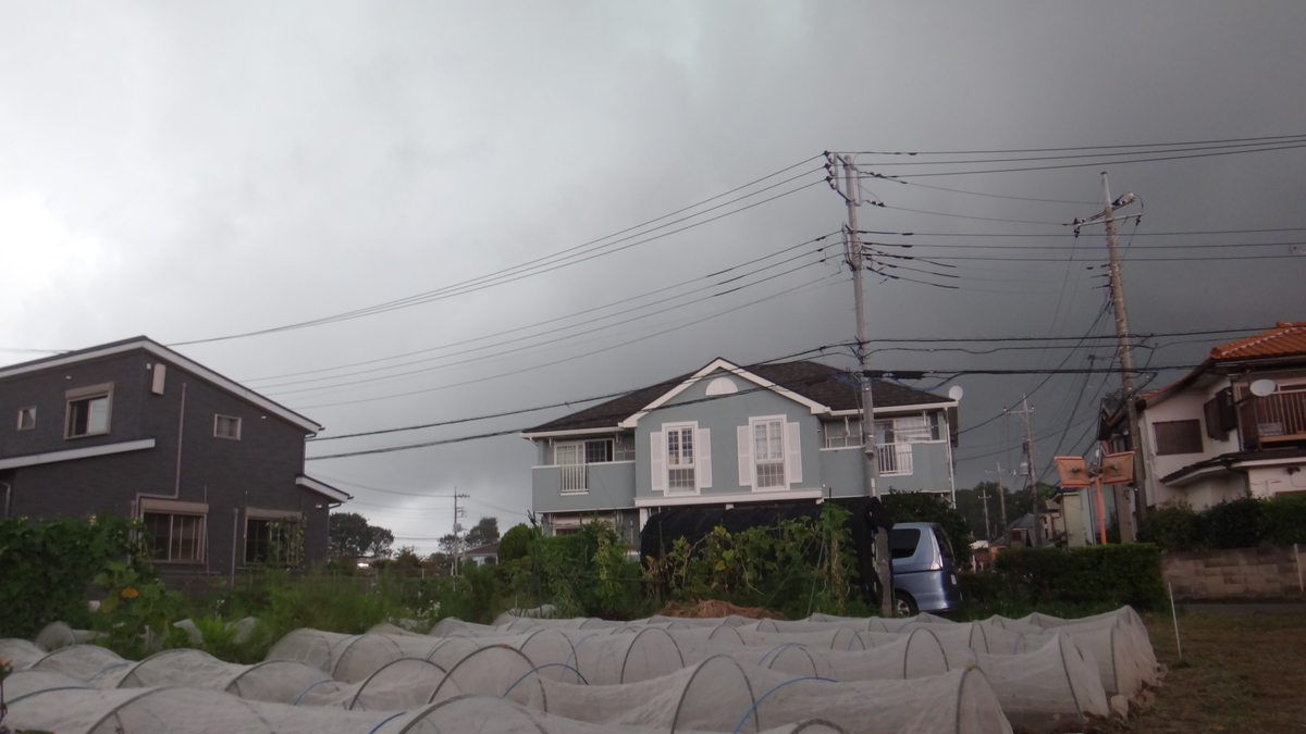f:id:cafelegume:20190912000913j:plain