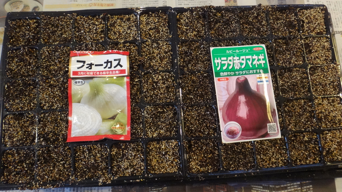 f:id:cafelegume:20190918220645j:plain