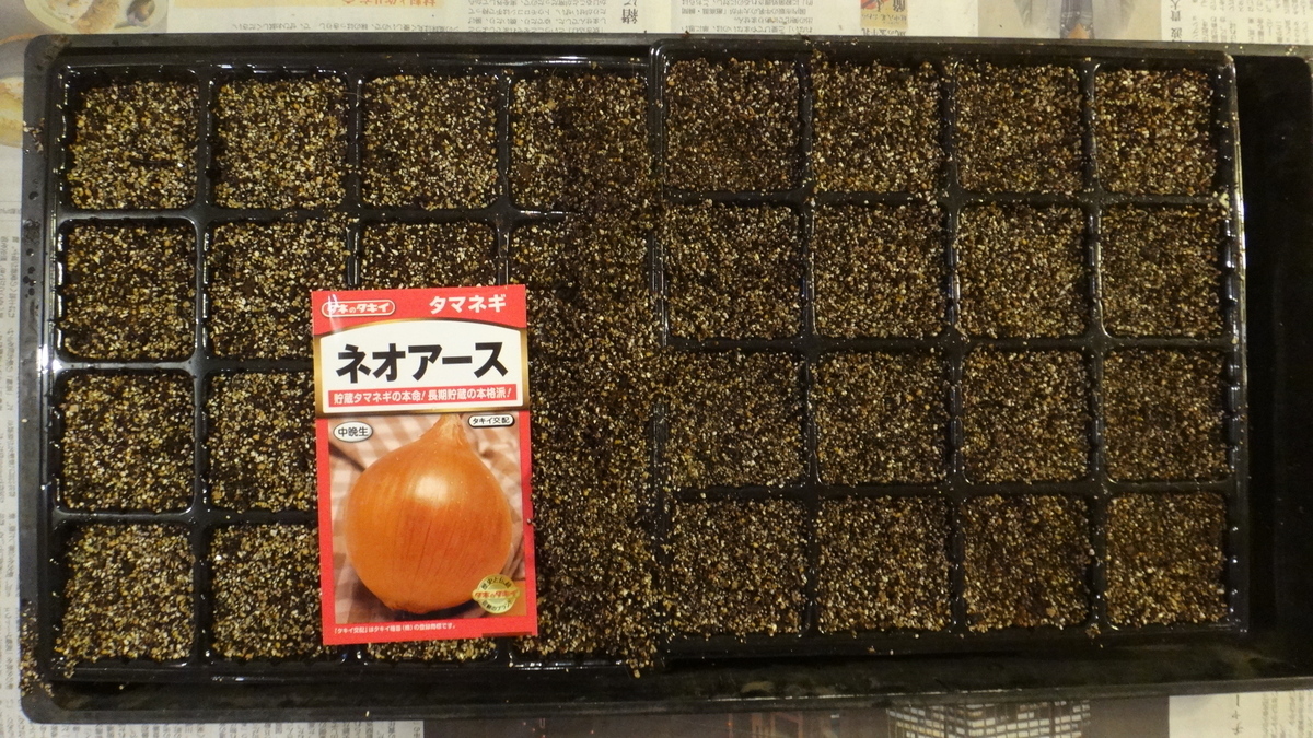 f:id:cafelegume:20190918220931j:plain