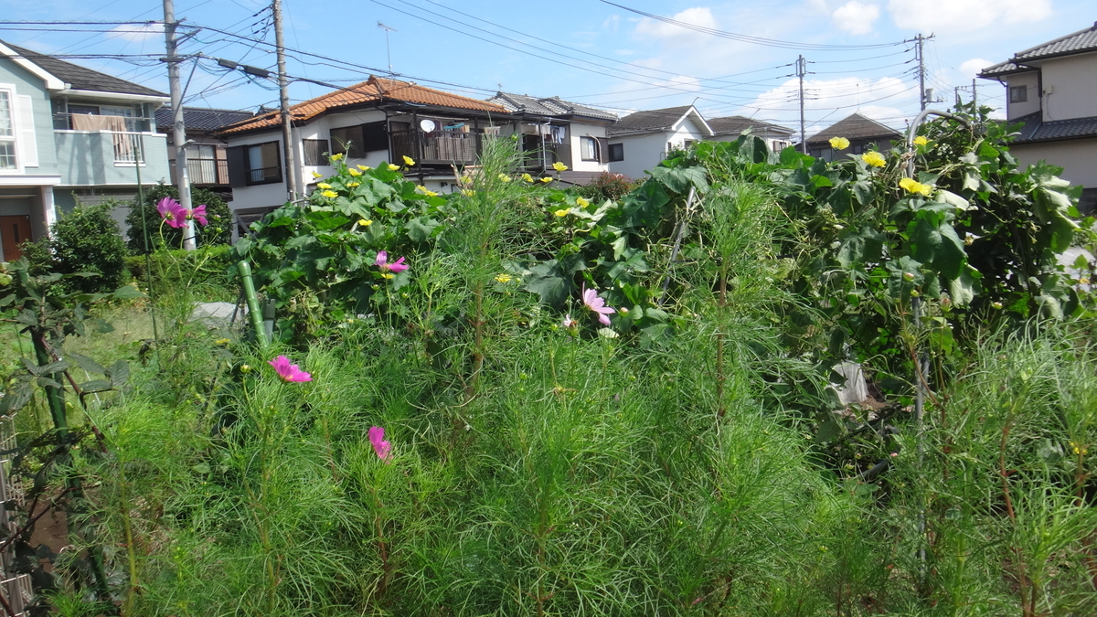 f:id:cafelegume:20190921013920j:plain
