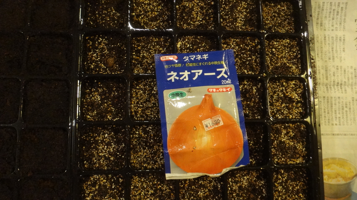 f:id:cafelegume:20190921230742j:plain