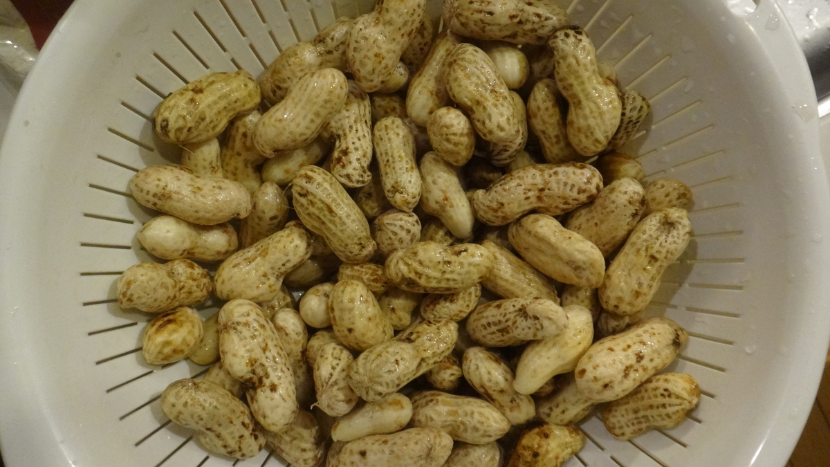 f:id:cafelegume:20190923233837j:plain