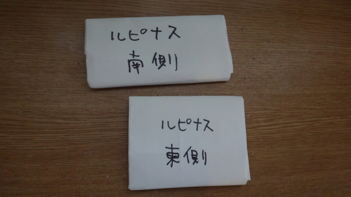 f:id:cafelegume:20190925213036j:plain